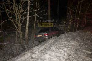 На брянской трассе иномарка вылетела в кювет