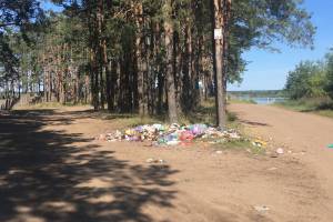 В Брянске свалки на озере Орлик продолжают разрастаться