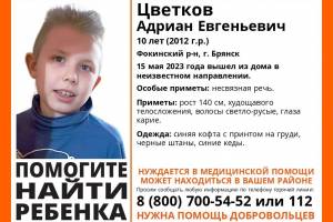 В Брянске пропал 10-летний Адриан Цветков