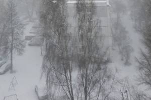 В Брянск вернулась зима со снегом