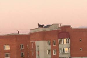 В Брянске молодёжь устроила шумные гулянки на крыше многоэтажки