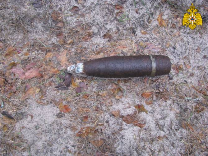 В лесу возле села в Навлинском районе нашли минометную мину