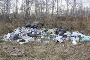 В Погарском районе чиновников обязали обустроить площадки для сбора мусора