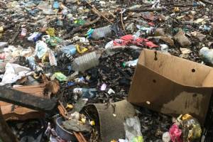 В Брянске сняли на фото огромную свалку в Советском районе
