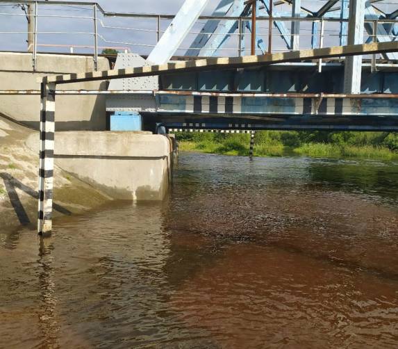 В Брянске затопило дорогу между Ковшовкой и Ходаринкой