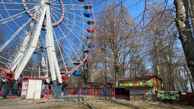 В Брянске на зоопарк на Кургане Бессмертия рухнуло дерево