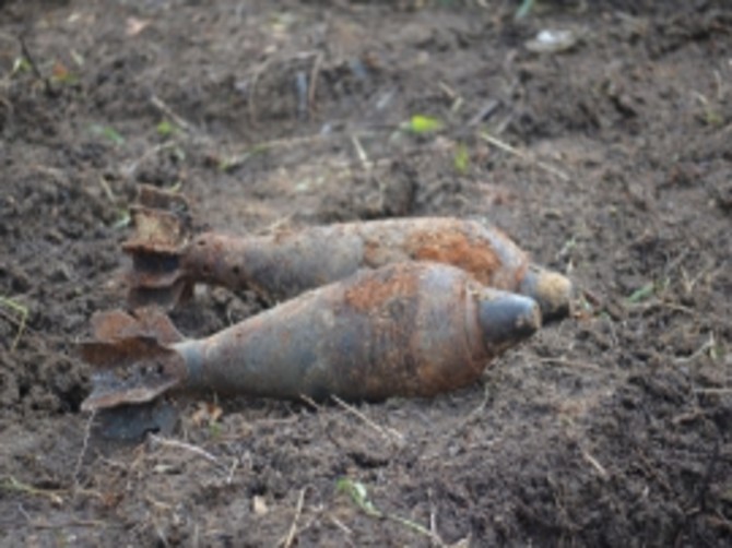 В лесу под Навлей обнаружили две минометные мины