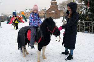 В Брянске возле Кафедрального Собора прошли рождественские катания на лошадях