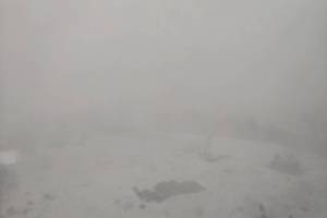 На Брянск рано утром обрушился снегопад