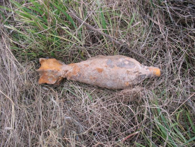 В лесу возле брянского села Госома нашли минометную мину