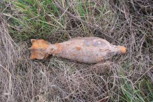 В лесу возле брянского села Госома нашли минометную мину