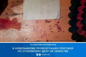 В Новозыбкове уголовник из Кемеровской области задушил знакомого кабелем