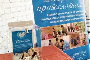 Брянцы на Крещение пожертвовали 2700 рублей для больных детей