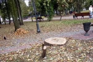 «Компенсационное озеленение» - ловкая выдумка тех, кто вырубает деревья в Брянске