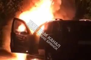 В Брянске на улице Ромашина сгорел автомобиль