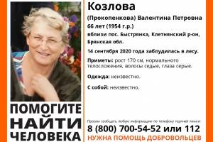 В Брянской области разыскивают 66-летнюю Валентину Козлову