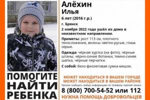 В Брянске нашли живым пропавшего 6-летнего Илью Алехина