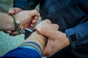 Брянские полицейские задержали 10 курьеров телефонных мошенников