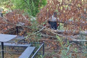 В Брянске на кладбище по Абашева рухнувшее дерево повредило памятники и ограды