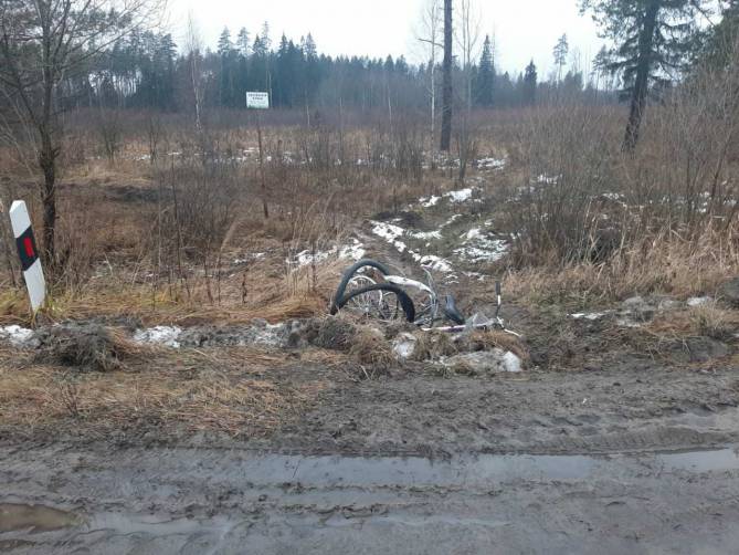 Под Брянском водитель немецкого автомобиля сбил насмерть велосипедистку