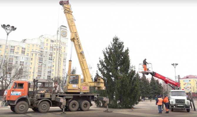 В Брянске установили новогоднюю елку на площади Партизан