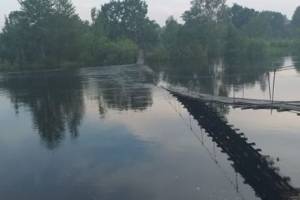 В Жуковке подвесной пешеходный мост скрылся под водой в Десне