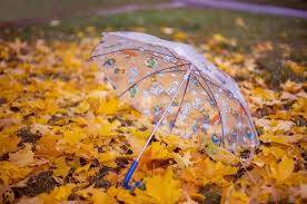 На Брянщине 19 октября ожидаются дожди с сильным ветром