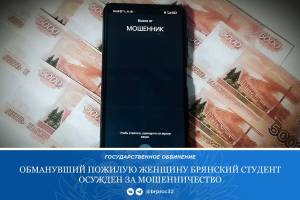 В Брянске осудили работавшего на телефонных мошенников 19-летнего студента