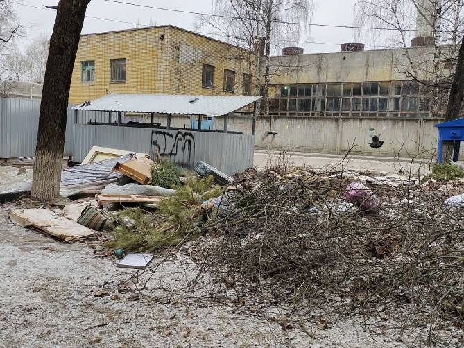 Жители «Нового городка» в Брянске повздорили из-за свалки