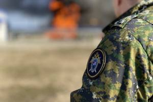 Возбуждено уголовное дело о гибели троих человек на пожаре в Брянском районе