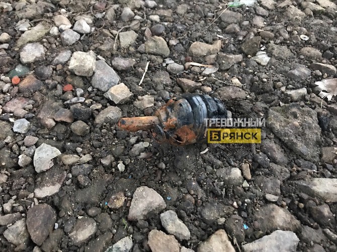 Брянцев перепугала найденная на берегу Десны граната Ф-1