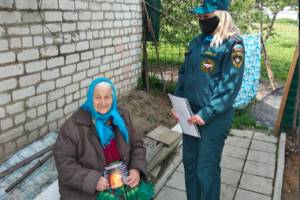 В Дубровском районе спасатели выкосили двор ветерана
