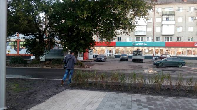 В Брянске заметили недостатки реконструкции сквера у Лития