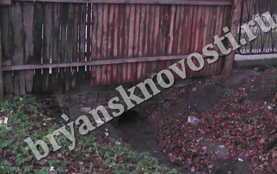 В Новозыбкове вода с целой улицы собирается в одном дворе