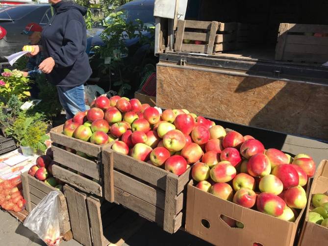 На ярмарках выходного дня брянцы скупили 4 тонны яблок