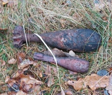 В Выгоничском районе нашли три мины