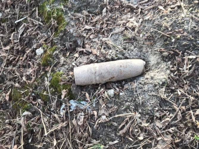 В Брянске в овраге под Черметовским мостом нашли артиллерийский снаряд