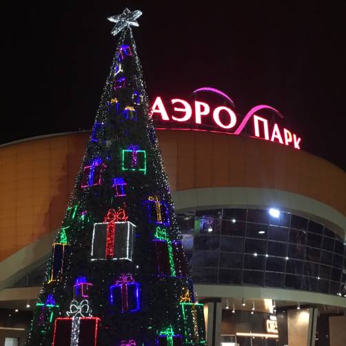 В Брянске установили новогоднюю ёлку возле ТРЦ «Аэропарк»