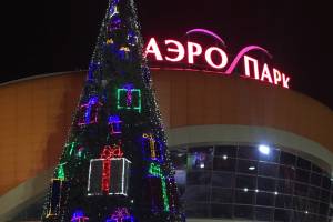 В Брянске установили новогоднюю ёлку возле ТРЦ «Аэропарк»