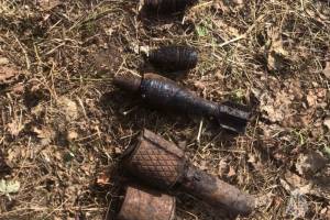 В селе Унечского района нашли минометную мину и две гранаты