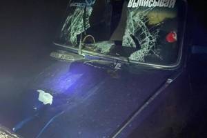Под Навлей водитель «ВАЗ» насмерть сбил мужчину и покалечил 17-летнего пассажира
