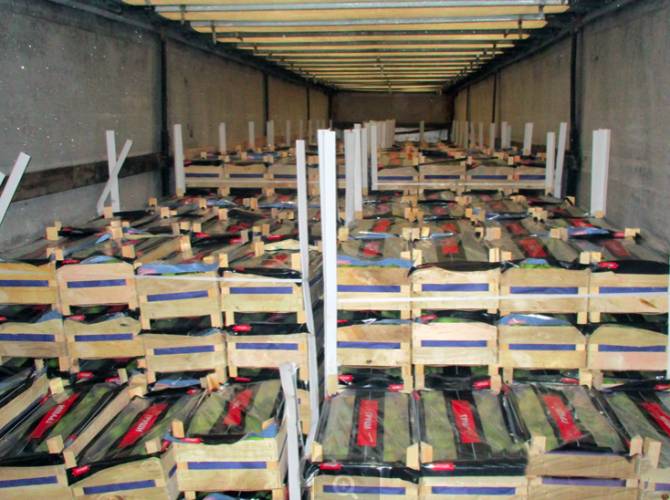Брянские таможенники задержали 40 тонн груш и помело