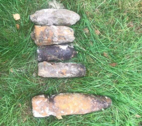В лесу под Брянском нашли 5 артиллерийских снарядов