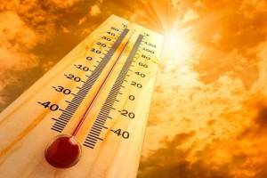 Брянцев ждет аномальная жара 25 и 26 июня