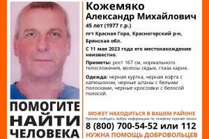 В Брянской области пропал 45-летний Александр Кожемяко