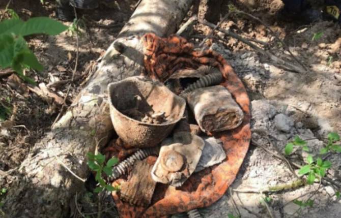 В лесу под Брасовом нашли останки пяти красноармейцев