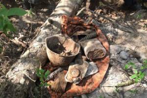 В лесу под Брасовом нашли останки пяти красноармейцев
