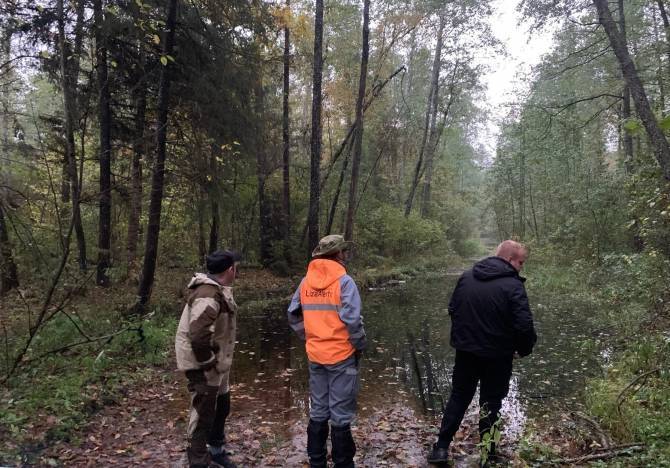 Под Новозыбковом в лесу чудом спаслись два заблудившихся грибника