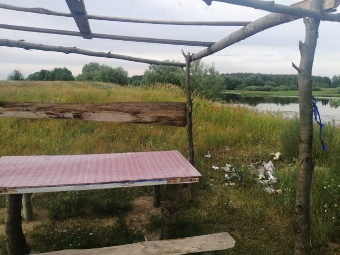 В Новозыбкове свиньи загадили место отдыха