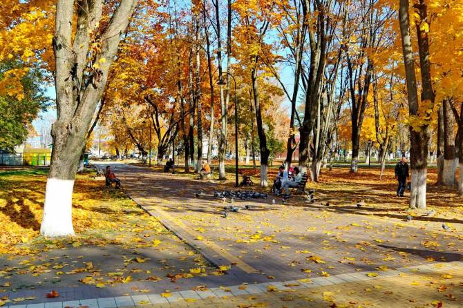 В брянском парке Железнодорожников сделают скейт-площадку